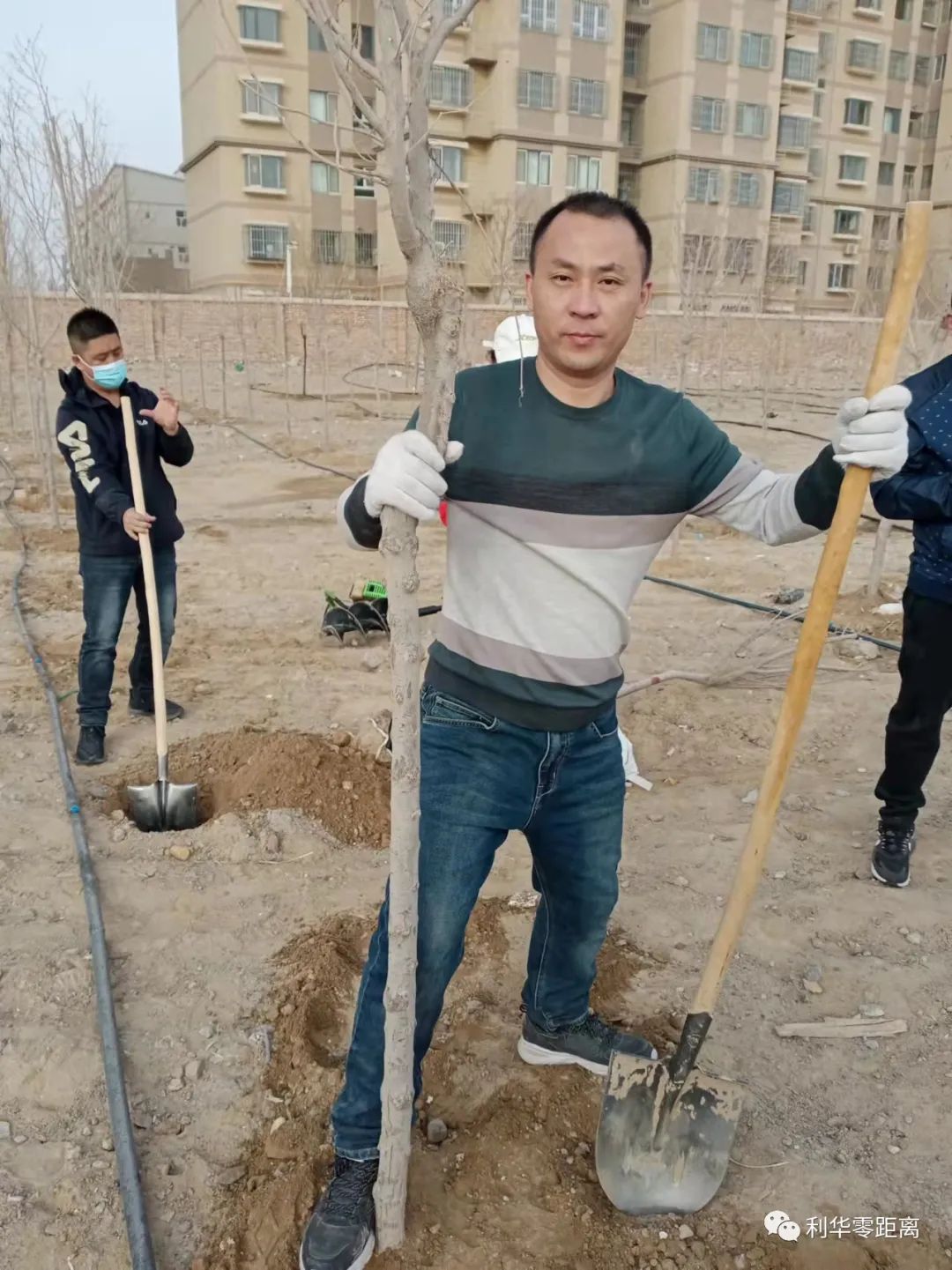 ��˾��ɽֲ�̼����������