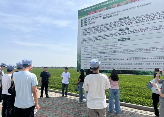 ����֮��hy590(�й�)���¹ٷ���վ