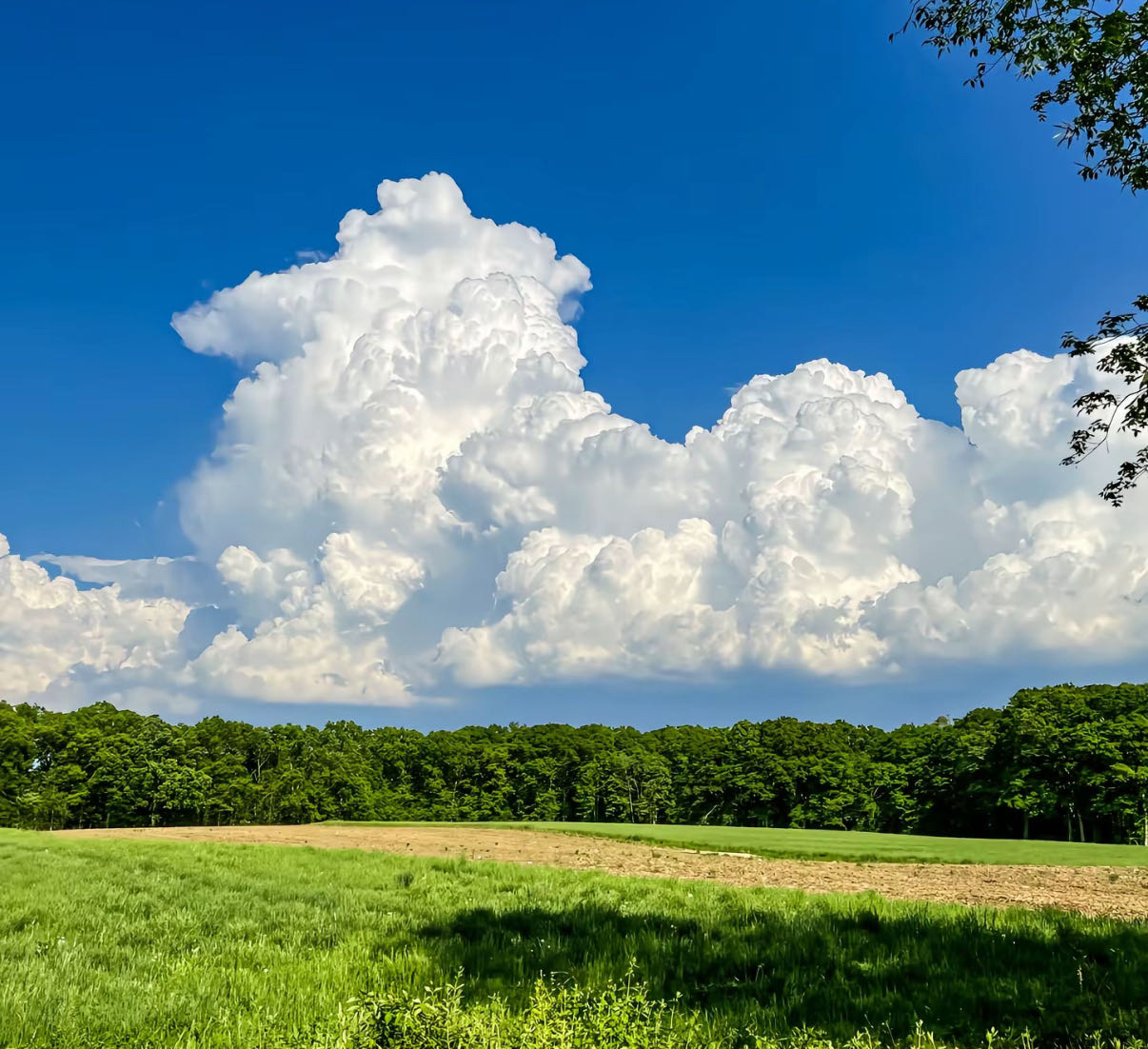 ������뿵������