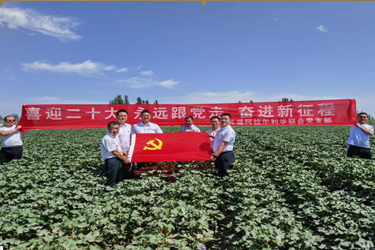 ����֮��hy590(�й�)���¹ٷ���վ