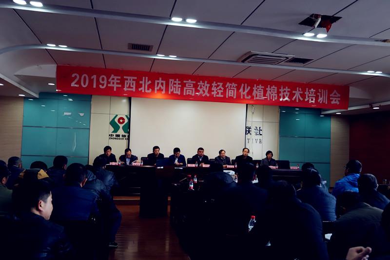 2019�괺����Ч���ֲ�����մ�����ѵ����ξ��ɳ��Բ������