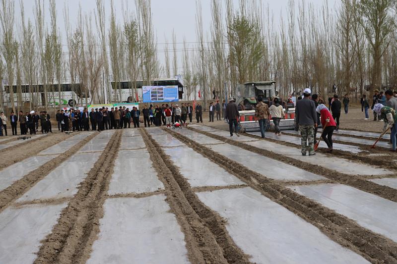 ����֮��hy590(�й�)���¹ٷ���վ